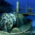 wreck_kittiwake_gc_h_0166_cay3590.jpg